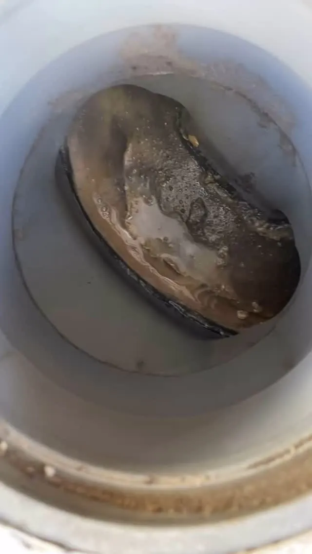 屋外の汚水管洗浄中。
