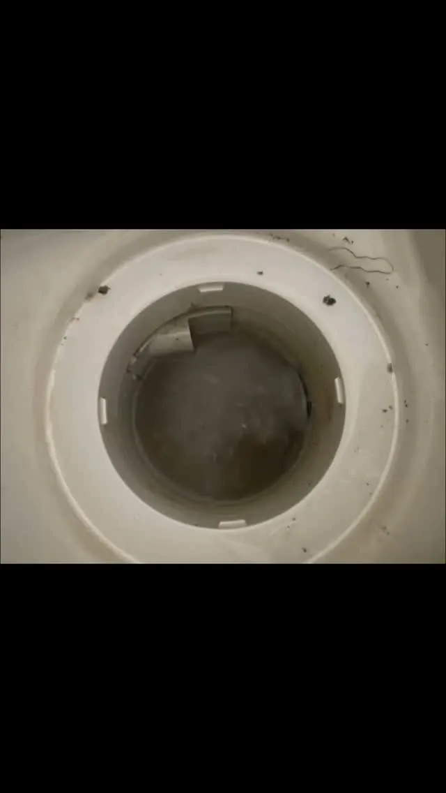 浴室排水口の汚れ。