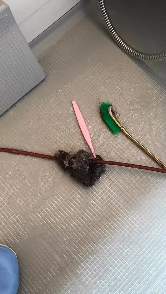 お風呂掃除の際にうっかり歯ブラシを流してしまう経験、皆さんも...