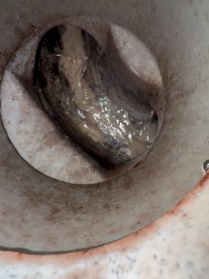 排水管のメンテナンスは、私たちの日常生活では見過ごされがちな...